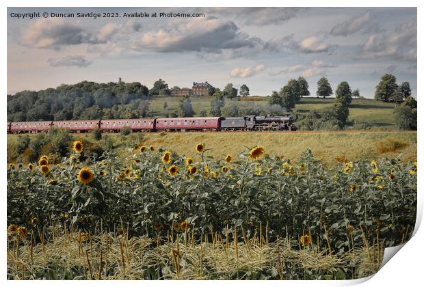 Steam trains and sunflower fields  Print by Duncan Savidge