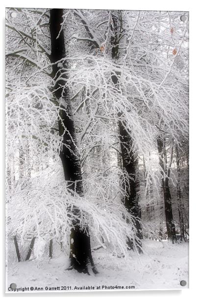 Snow on Sycamores Acrylic by Ann Garrett
