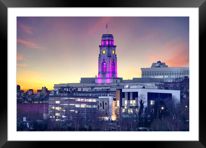 Barnsley South Yorkshire  Framed Mounted Print by Alison Chambers