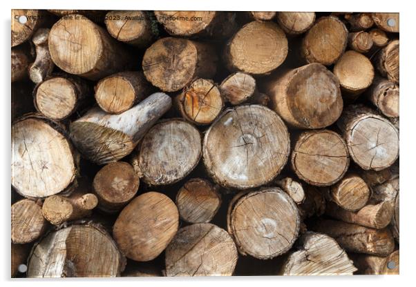 Heap of wood log Acrylic by aurélie le moigne