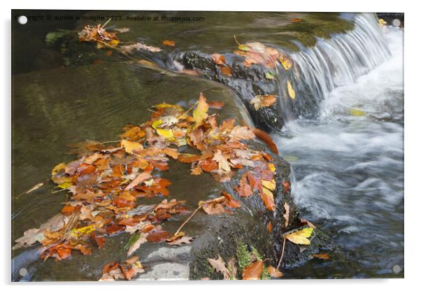 Dead leaves on a river Acrylic by aurélie le moigne