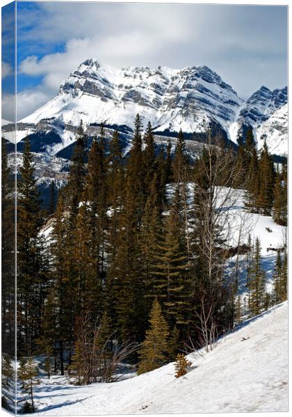 Canada's Frozen Highway: Icefields Parkway Canvas Print by Andy Evans Photos