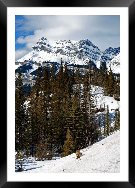 Canada's Frozen Highway: Icefields Parkway Framed Mounted Print by Andy Evans Photos