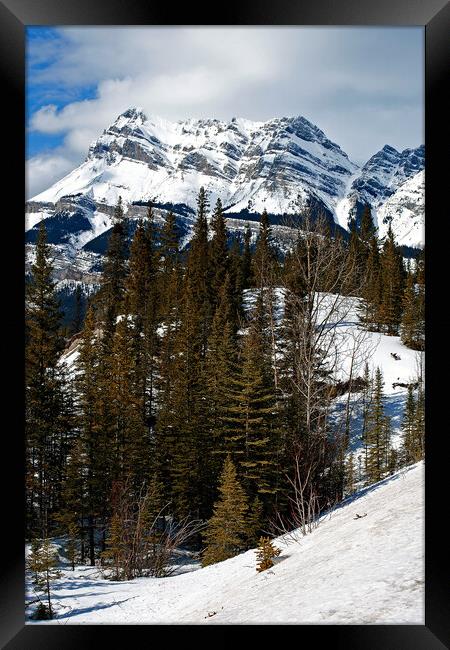 Canada's Frozen Highway: Icefields Parkway Framed Print by Andy Evans Photos