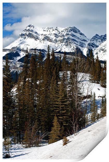 Canada's Frozen Highway: Icefields Parkway Print by Andy Evans Photos