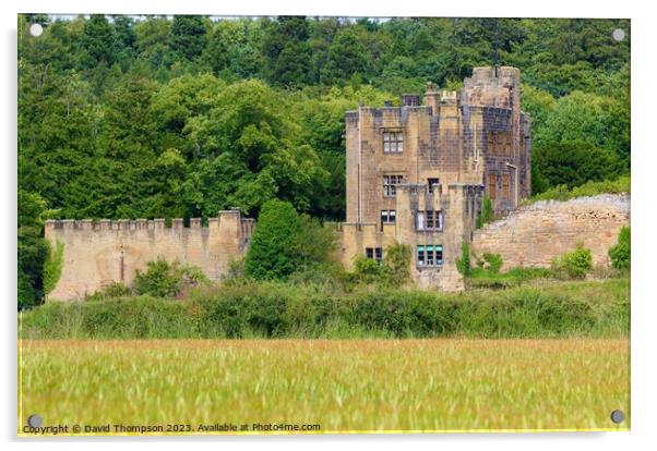 Bothal Castle Northumberland Acrylic by David Thompson