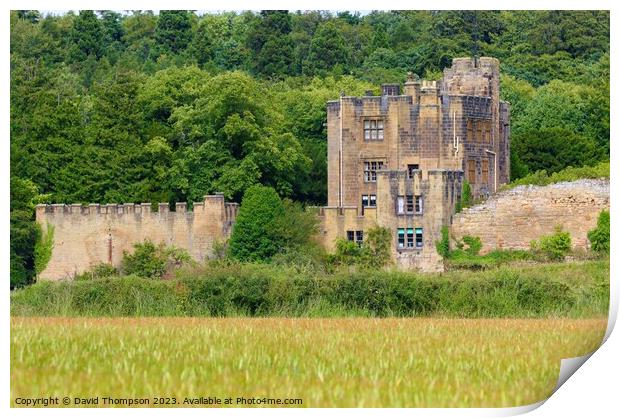 Bothal Castle Northumberland Print by David Thompson