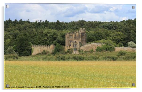 Bothal Castle Acrylic by David Thompson