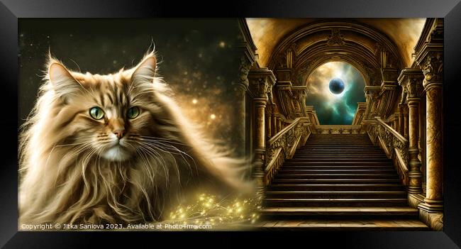 Mystic guardian cat  Framed Print by Jitka Saniova