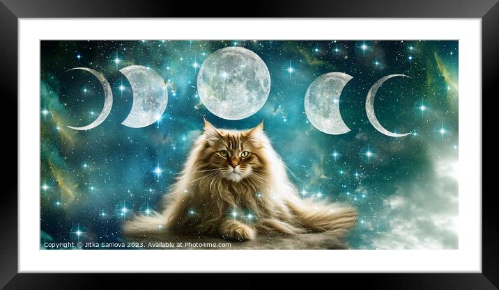 Cat Moon goddess Framed Mounted Print by Jitka Saniova