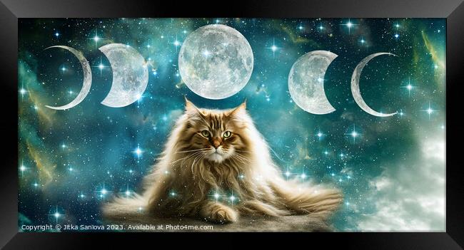 Cat Moon goddess Framed Print by Jitka Saniova