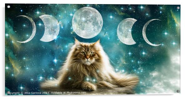 Cat Moon goddess Acrylic by Jitka Saniova