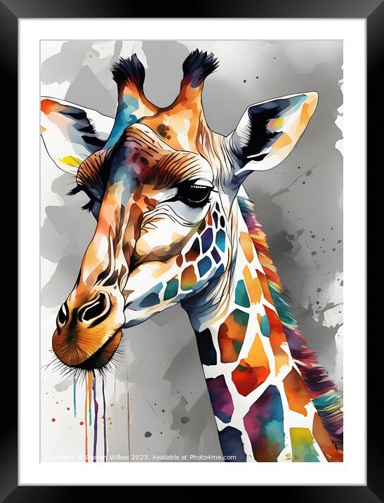 Magical Giraffe art Framed Mounted Print by Darren Wilkes