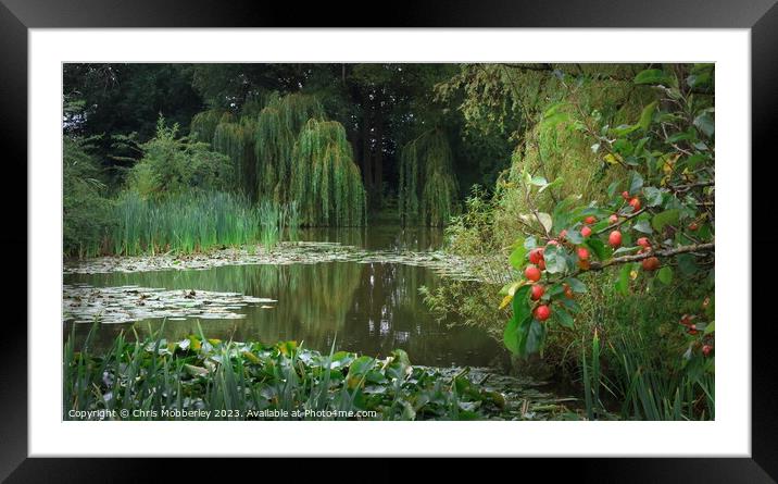 Small Secluded Lake Framed Mounted Print by Chris Mobberley