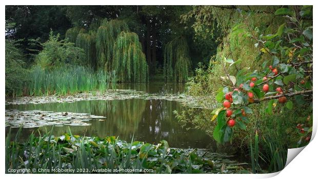 Small Secluded Lake Print by Chris Mobberley