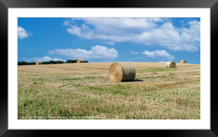 Hay Bales in Duffus Field Framed Mounted Print by Tom McPherson
