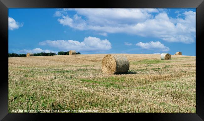 Hay Bales in Duffus Field Framed Print by Tom McPherson