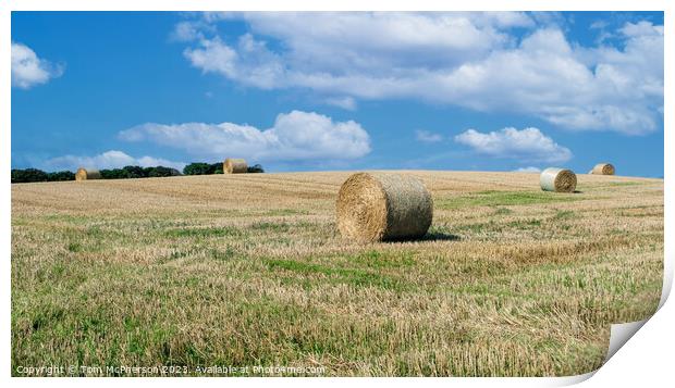 Hay Bales in Duffus Field Print by Tom McPherson