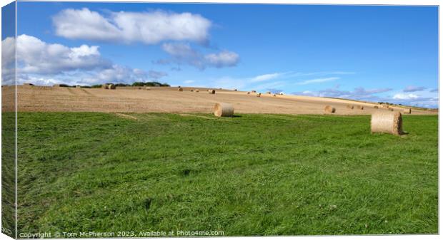Harvest's Gold: Hay Bales in Duffus Canvas Print by Tom McPherson