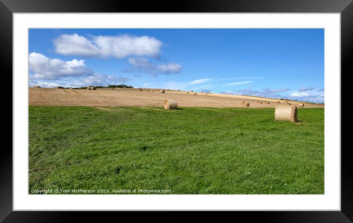 Harvest's Gold: Hay Bales in Duffus Framed Mounted Print by Tom McPherson