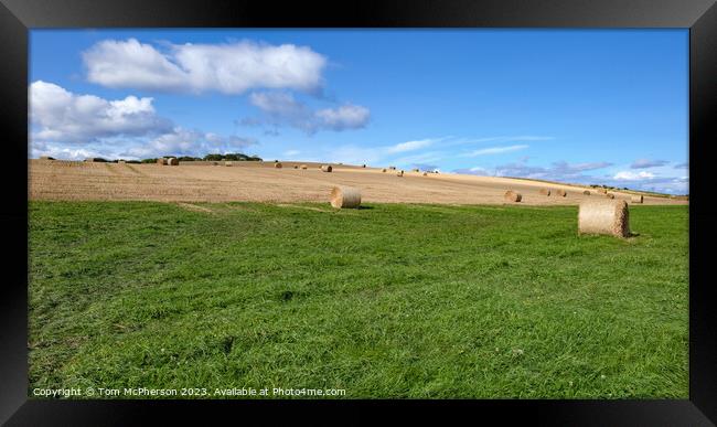 Harvest's Gold: Hay Bales in Duffus Framed Print by Tom McPherson