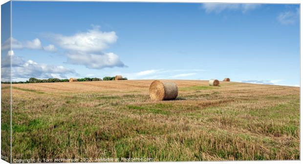 Rustic Harvest Charm: Duffus Countryside Canvas Print by Tom McPherson