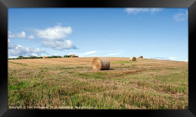 Rustic Harvest Charm: Duffus Countryside Framed Print by Tom McPherson