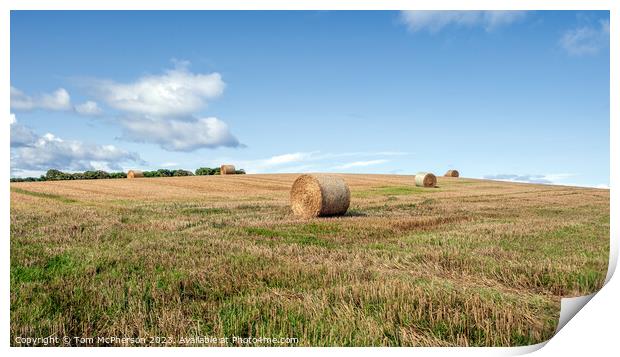 Rustic Harvest Charm: Duffus Countryside Print by Tom McPherson