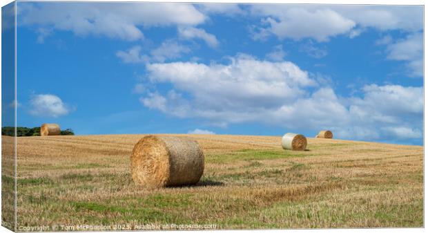 Harvested Hay Bales, Duffus Countryside Canvas Print by Tom McPherson