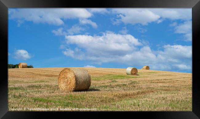 Harvested Hay Bales, Duffus Countryside Framed Print by Tom McPherson