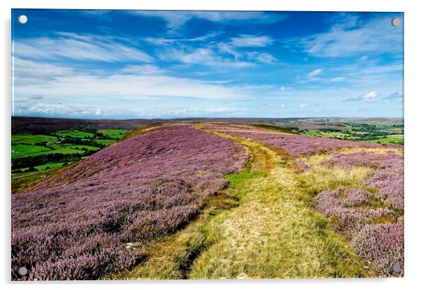 Westerdale Moorland Heather on Yorkshire Moors Acrylic by Martyn Arnold