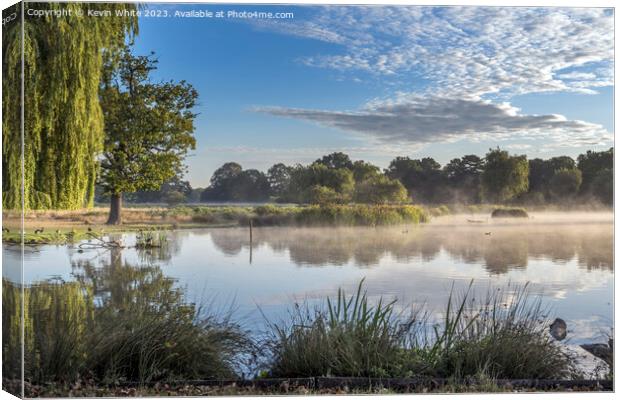 Bright misty sunny morning at Bushy Park ponds Canvas Print by Kevin White