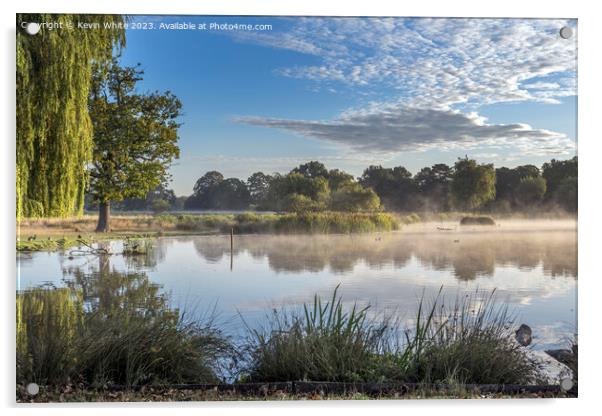 Bright misty sunny morning at Bushy Park ponds Acrylic by Kevin White