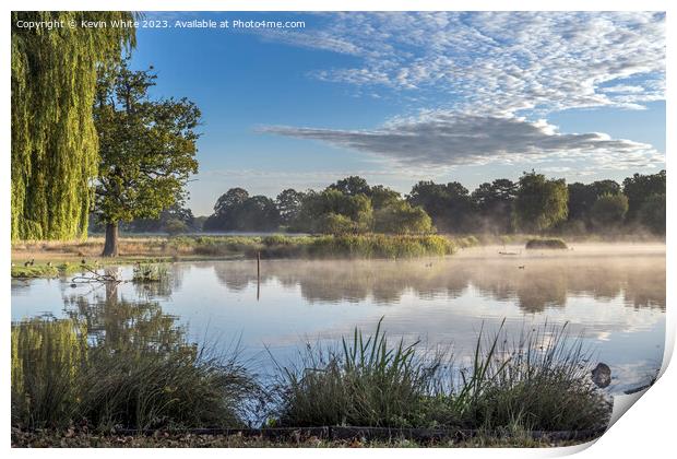 Bright misty sunny morning at Bushy Park ponds Print by Kevin White