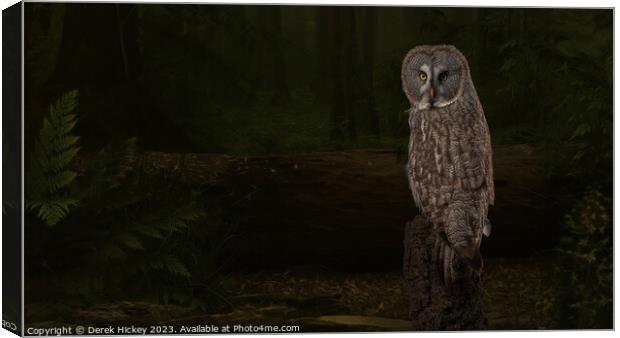 Woodland Great Grey Owl Canvas Print by Derek Hickey
