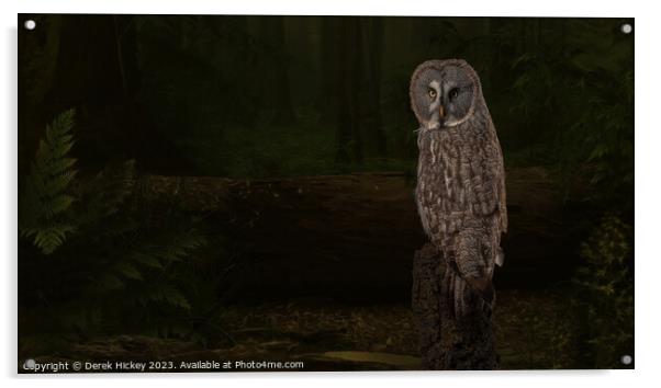 Woodland Great Grey Owl Acrylic by Derek Hickey