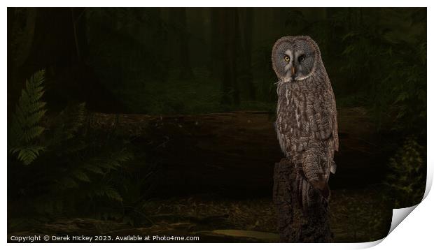 Woodland Great Grey Owl Print by Derek Hickey