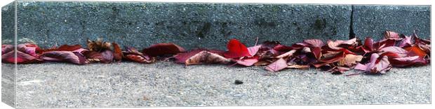 Leaves in the Gutter Canvas Print by Nigel Bangert