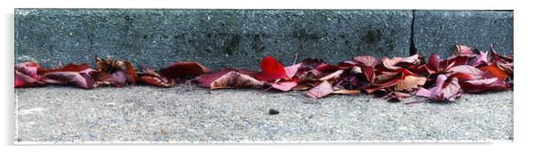 Leaves in the Gutter Acrylic by Nigel Bangert