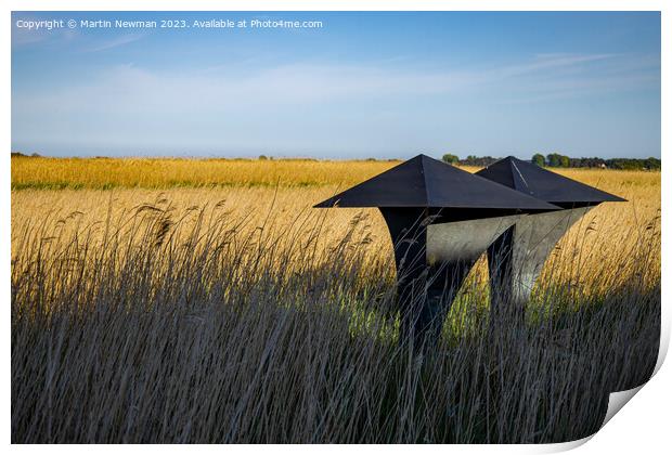 Outdoor field Print by Martin Newman