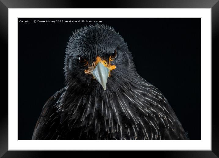 The Look Framed Mounted Print by Derek Hickey