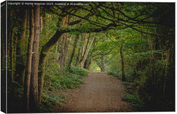 Forest walks Canvas Print by Martin Newman