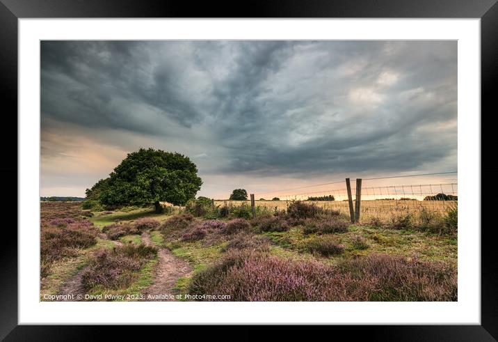 Dramatic Skies Over Roydon Common At Sunset Framed Mounted Print by David Powley