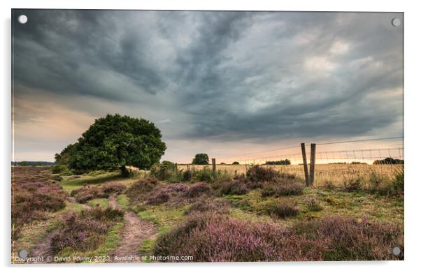 Dramatic Skies Over Roydon Common At Sunset Acrylic by David Powley