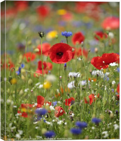 Poppy field Canvas Print by Simon Johnson