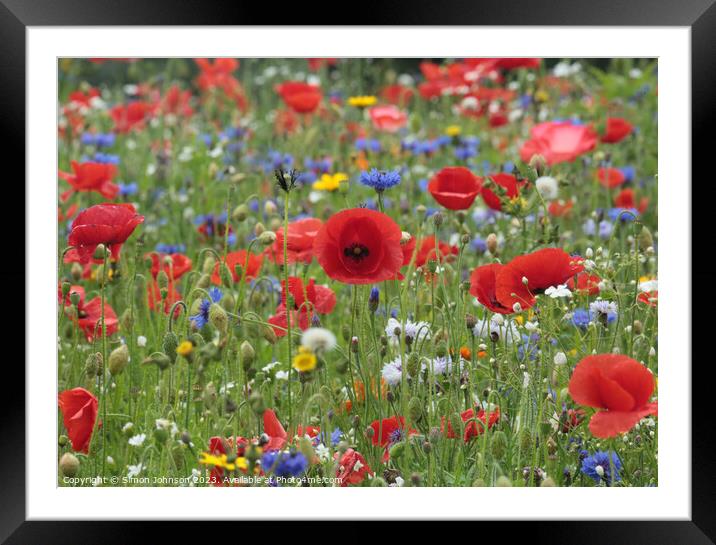 Vibrant Wildflower Medley Framed Mounted Print by Simon Johnson