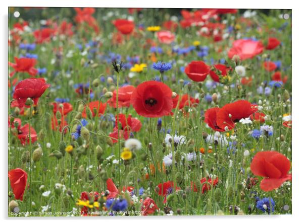 Vibrant Wildflower Medley Acrylic by Simon Johnson