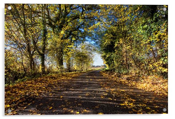 Sunny Autumn Lane Acrylic by Nigel Bangert