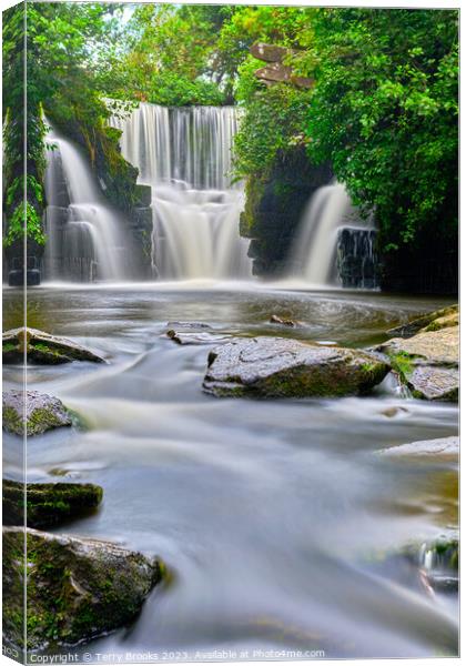Penllergaer Waterfall Portrait format Canvas Print by Terry Brooks