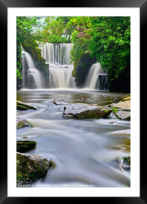 Penllergaer Waterfall Portrait format Framed Mounted Print by Terry Brooks